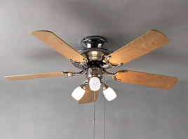 Ceiling Fan